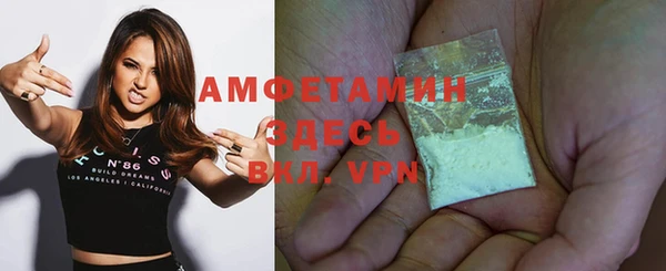 индика Протвино