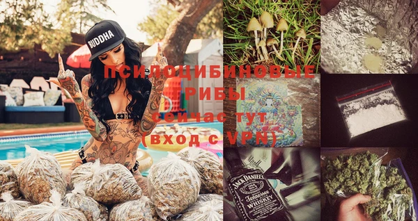 гашик Балахна