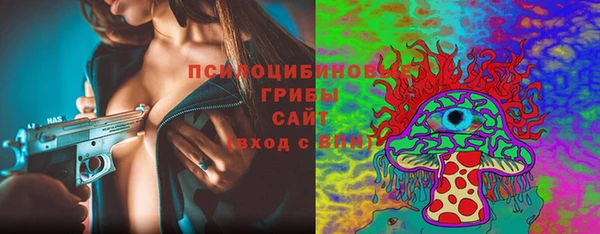 гашик Балахна